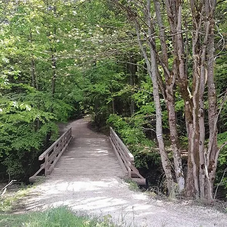 Privat bolig Prywatne-romanowka Zakopane